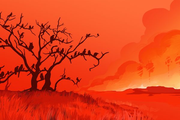 incendios Australia